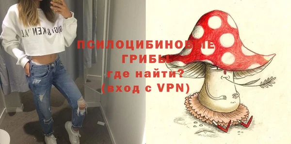 трава Каменногорск