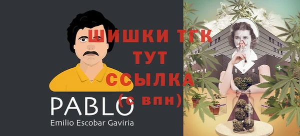 трава Каменногорск