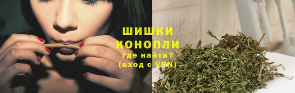 прущий лед Каменка