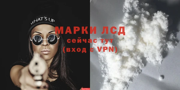 трава Каменногорск