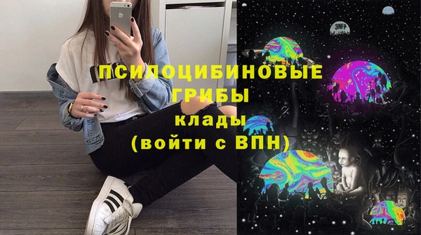 трава Каменногорск