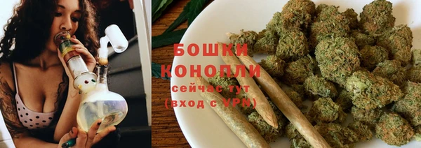 прущий лед Каменка
