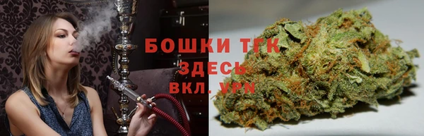 прущий лед Каменка